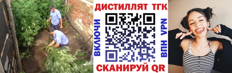 omg вход  купить   Кондрово  ТГК THC oil 