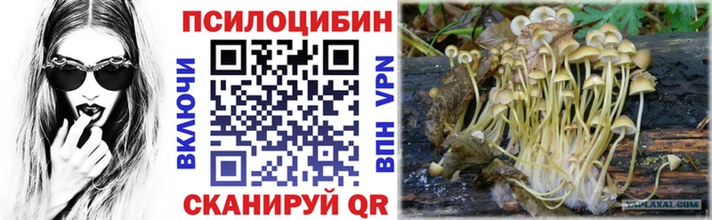 Галлюциногенные грибы мухоморы  Кондрово 